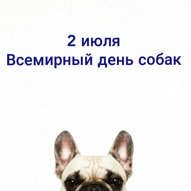 foto 13 07 2020 16 44 1
