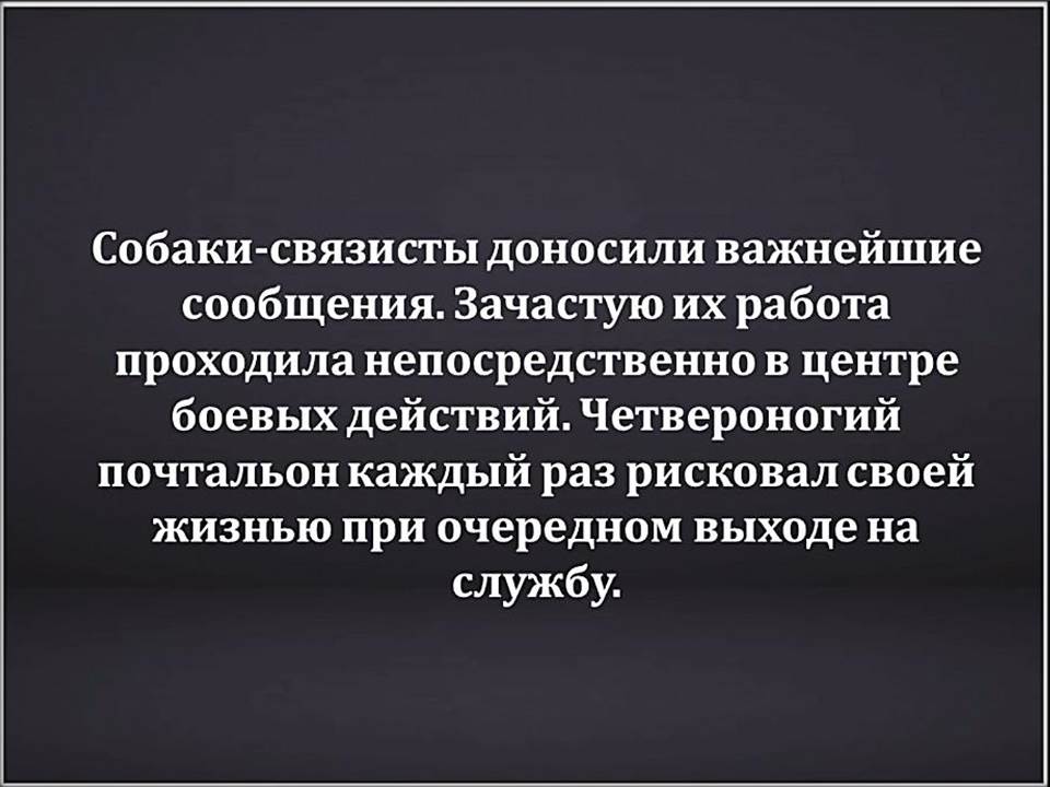 foto 14 07 2020 10 04 16