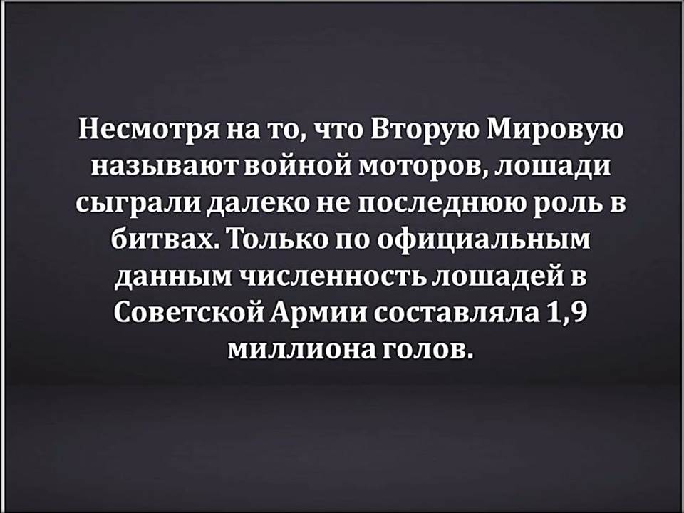 foto 14 07 2020 10 04 6