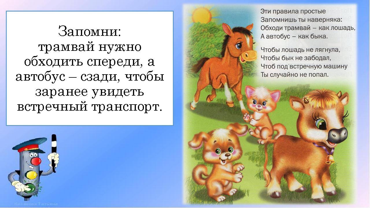 foto 2020 08 18 08 42 6