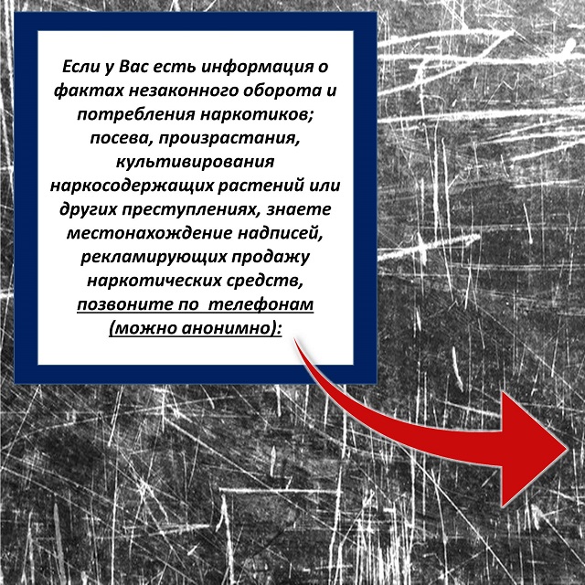 foto 09 11 2021 14 21 5