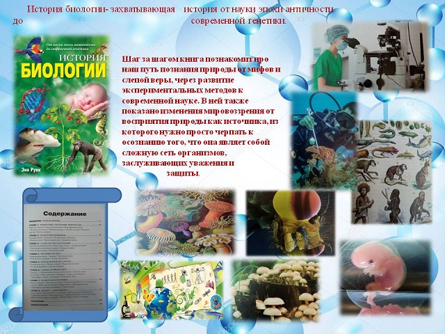 foto 23 11 2021 13 39 3