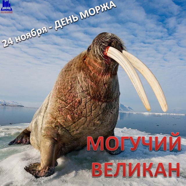 foto 26 11 2021 16 05 1