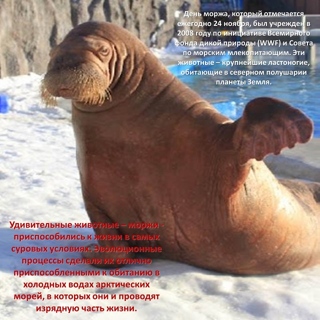 foto 26 11 2021 16 05 2