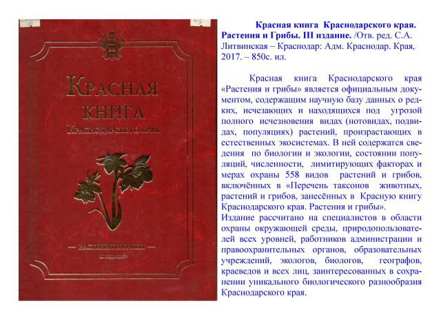 foto 26 07 2019 16 39 1 3