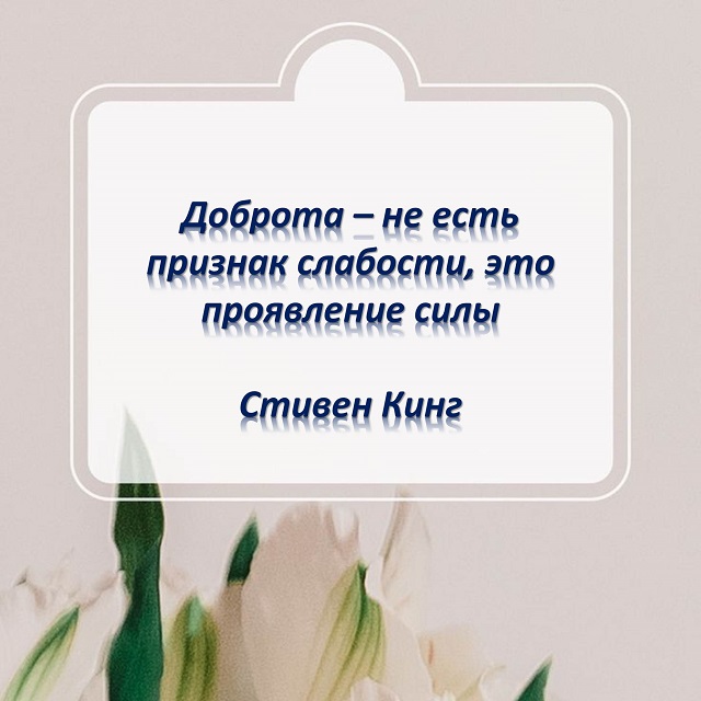 foto 24 11 2022 08 48 8