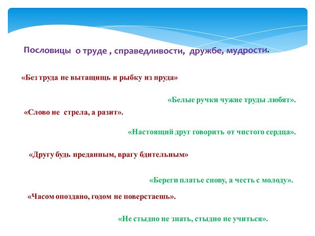 foto 24 11 2022 09 24 4