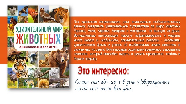 foto 01 08 2023 08 05 22