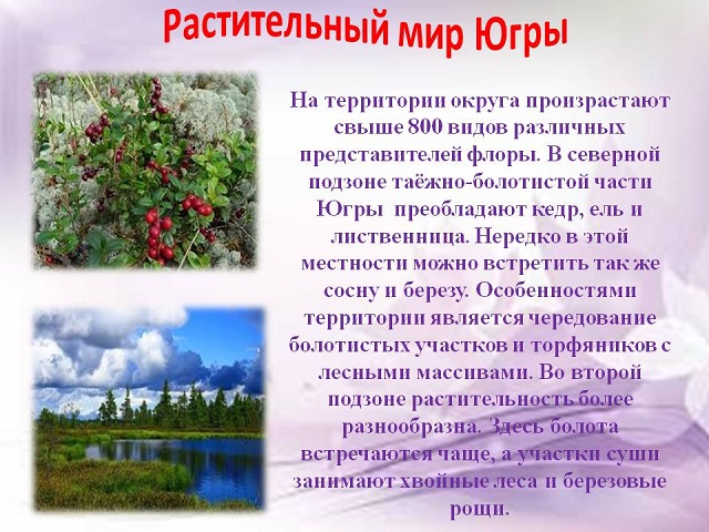 foto 05 04 2023 17 17 5
