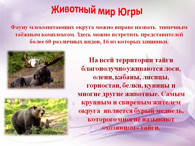 foto 05 04 2023 17 17 6