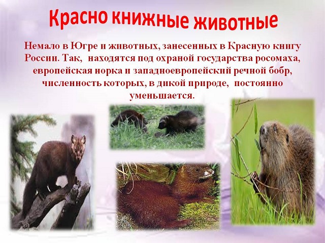 foto 05 04 2023 17 17 7