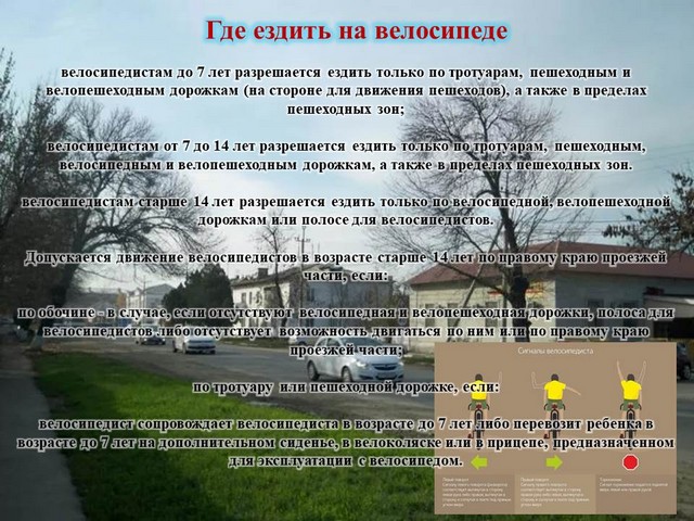 foto 2024 07 22 16 19 005