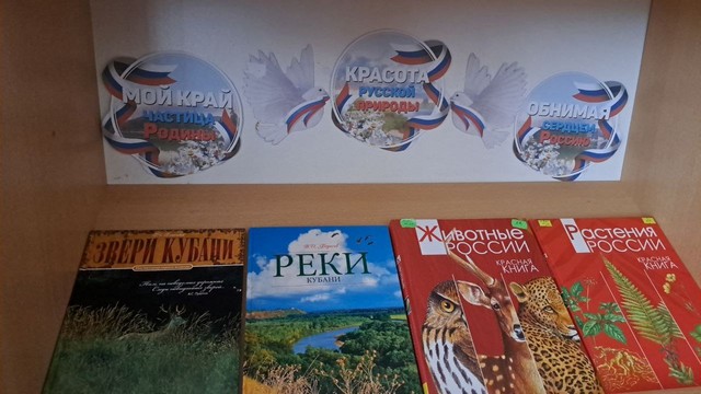 foto 2024 07 30 16 22 005