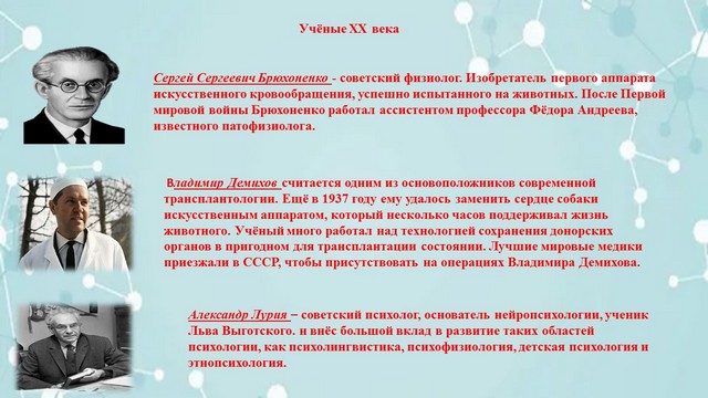 foto 2024 02 22 09 17 17