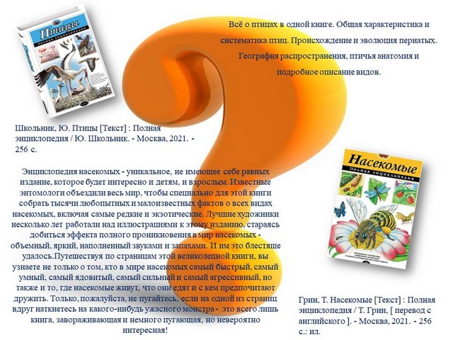 foto 2024 02 22 09 22 11