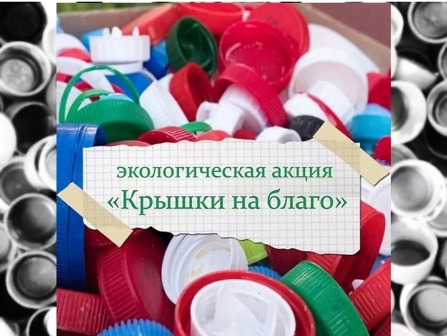 foto 2025 03 25 09 43 002